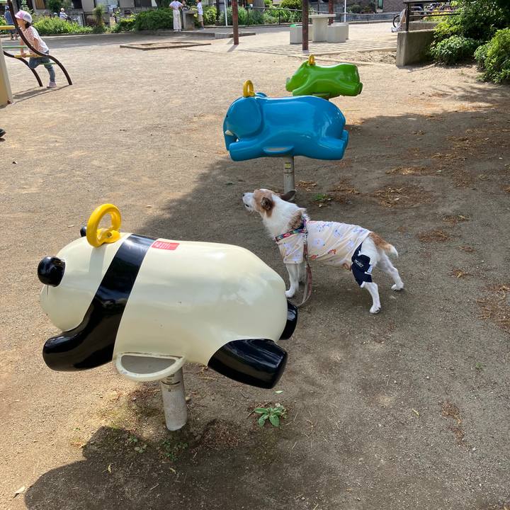 08d96884 68a6 46ff a2a5 227af3d597f6 1716852270191