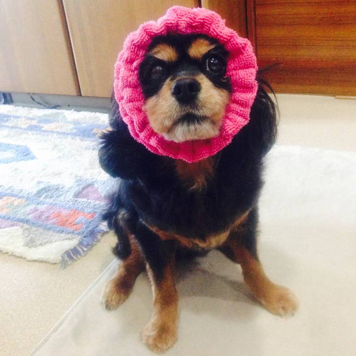 08d9ce3f 1647 496c b179 3aa90b6b9688 1522471517334