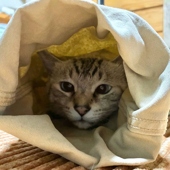 08d9fef2 28d6 43ed a0ad 0e6a7f094fc6 1763123950062