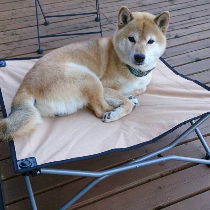 08da0a87 0141 41ef 8448 dc51f9041882 1526369349090