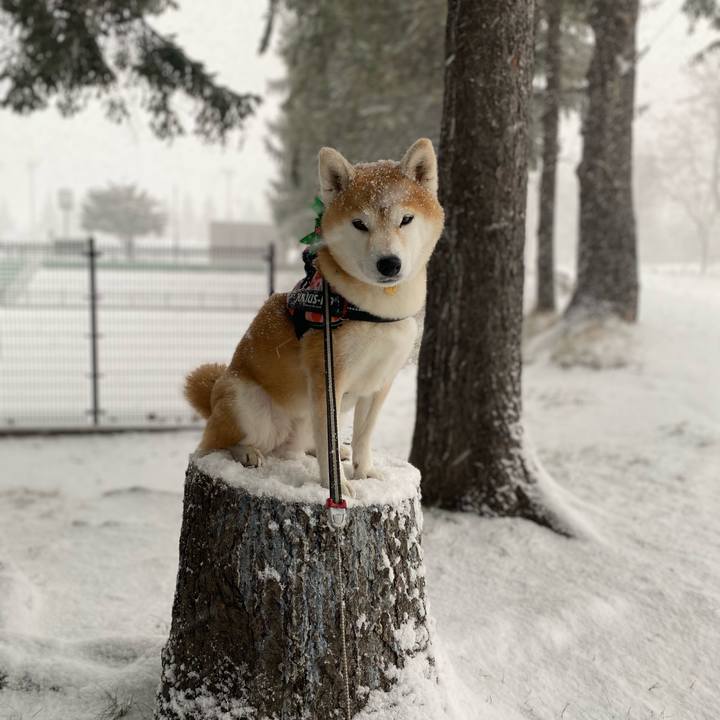 08da1e72 b6e2 4994 ad01 1f612b08f8b9 1608863034569