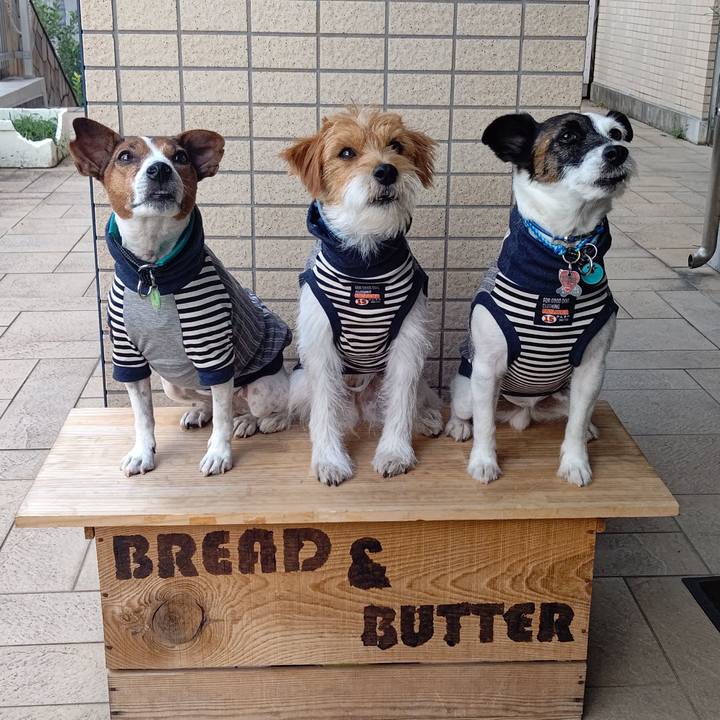 08da2673 f092 425a a639 edab84266d08 1692782313719