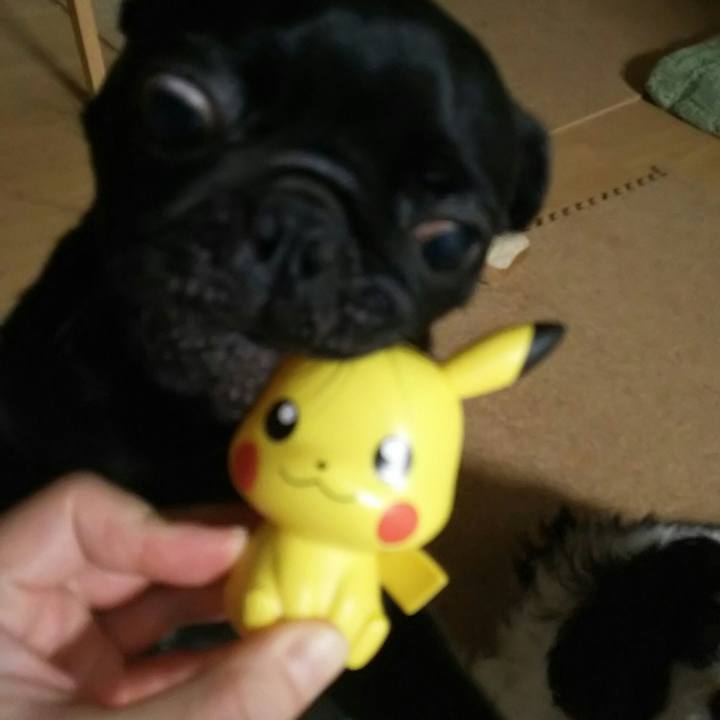 08da85af edb2 4fd9 92cb 9b9610ec9239 1534396109362