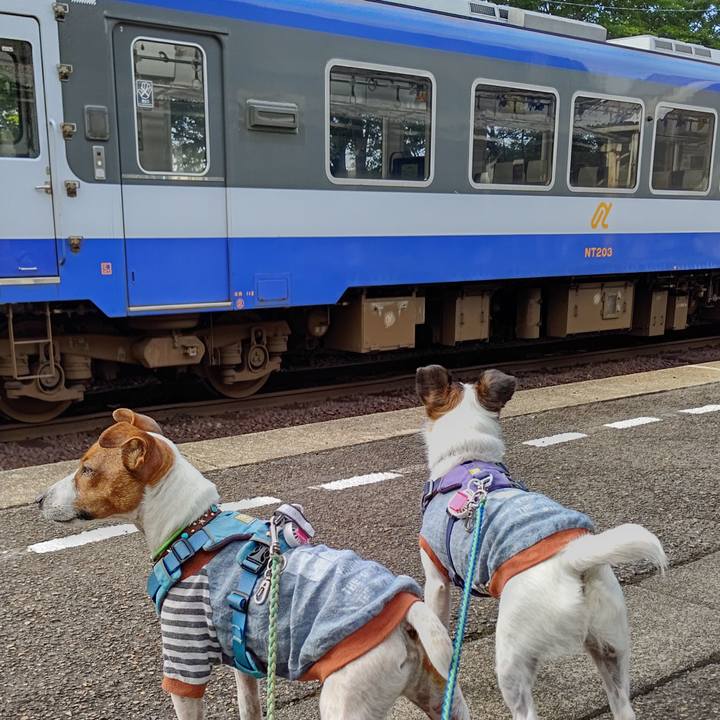 08da867c 9d67 4388 a5b6 b70b9a7719f4 1658010150549