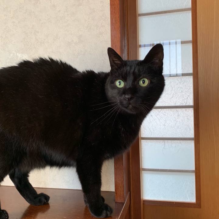 08dab9d0 82d8 40a3 aa12 81f55de9af2d 1553043349133