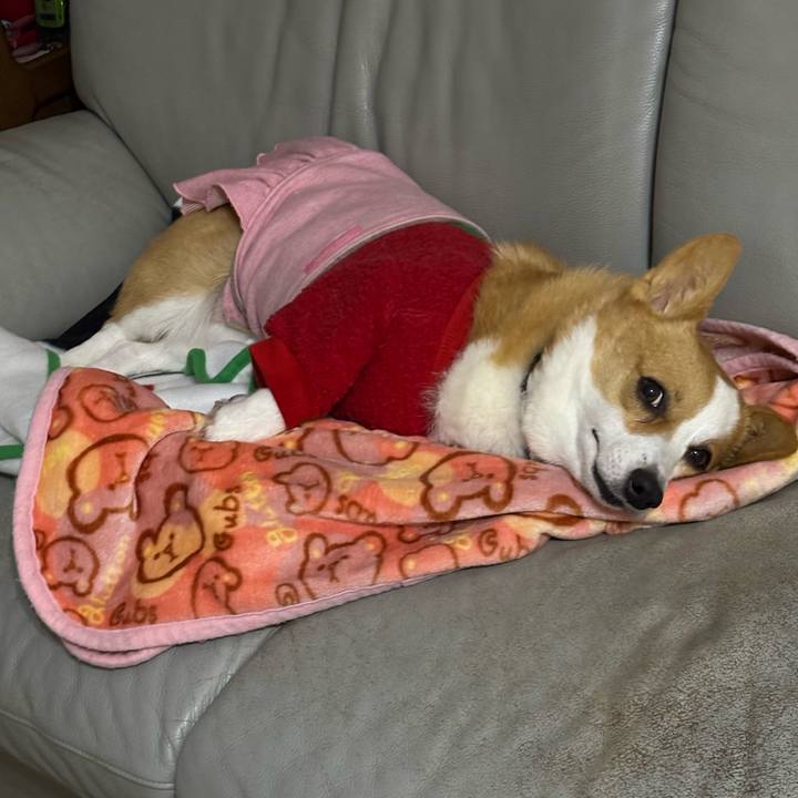 08dad993 58ca 4f66 ac26 44f83ca56759 1766066827243