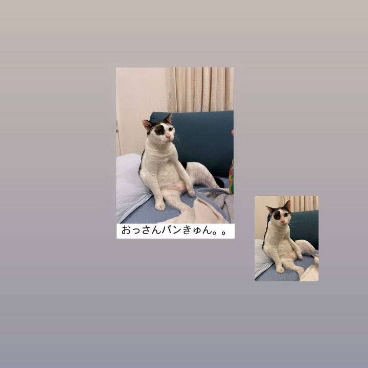 08dafaaa 25c8 479d b47e 4ad9e03f2cee 1652012230923