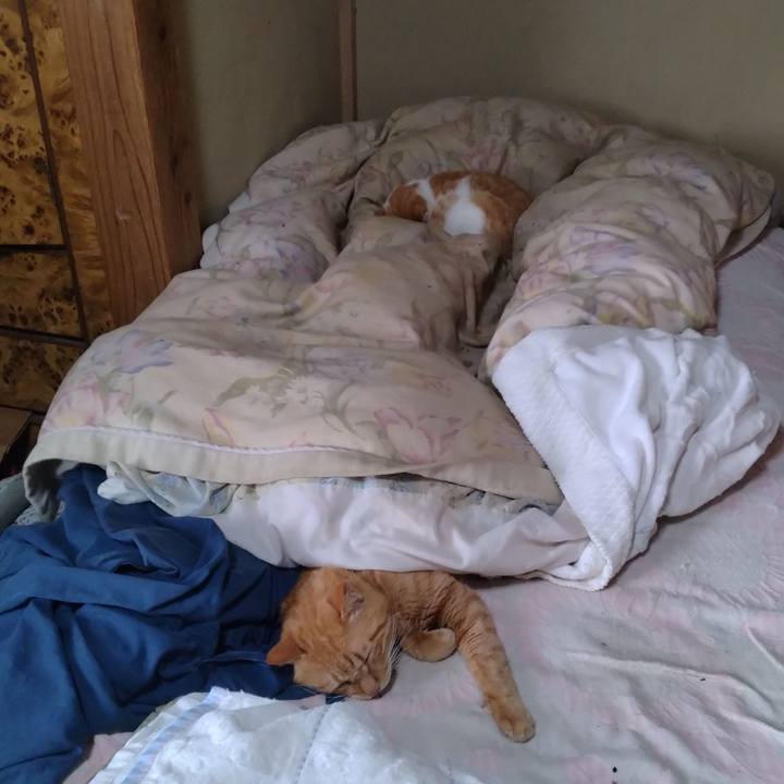 08db098a 5a9e 4816 bb7d 1ccbda3d1f24 1763700165591