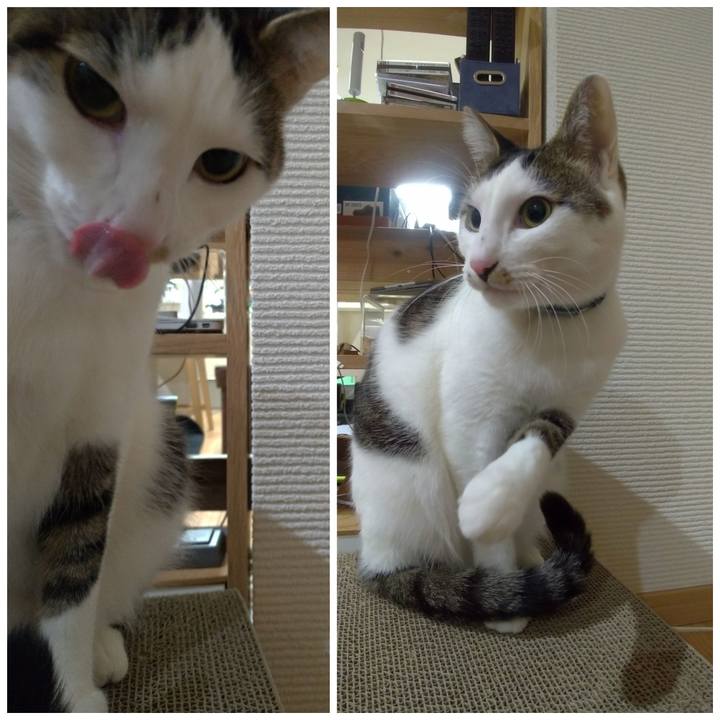 08db37f7 61d2 4a7f 8b7f 1d1e7c697836 1547650078707