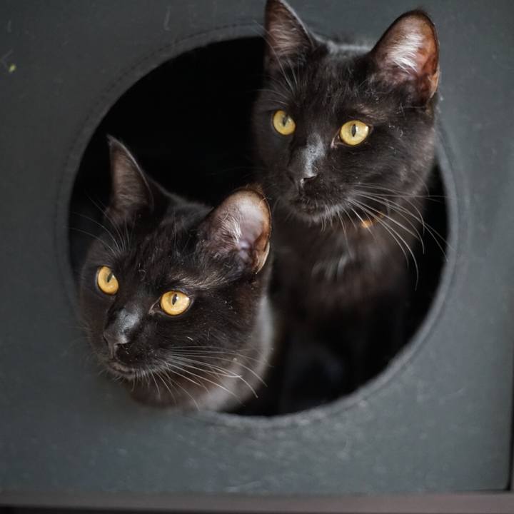 08db3ce9 9b80 4395 852c 8364cd908ae8 1520998506827