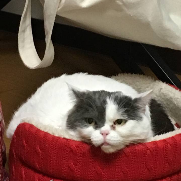 08db619c c02b 43d1 b4df 06fdebfd9e9a 1521069484988