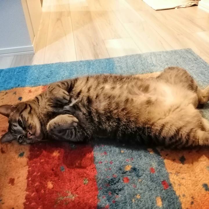 08db7e5d 5b2f 4809 87b9 4dfbb742ca56 1588422109242