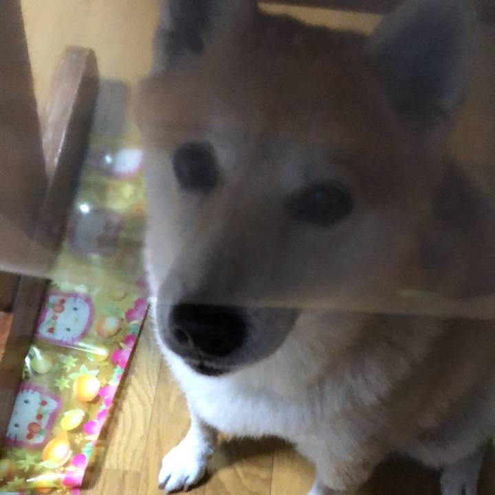 08db949f 0e0d 4d3b bad0 8e2d1e610326 1575200721848