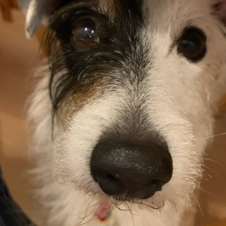 08db9b99 f477 41d3 a003 e235f1d2c79f 1685792666227