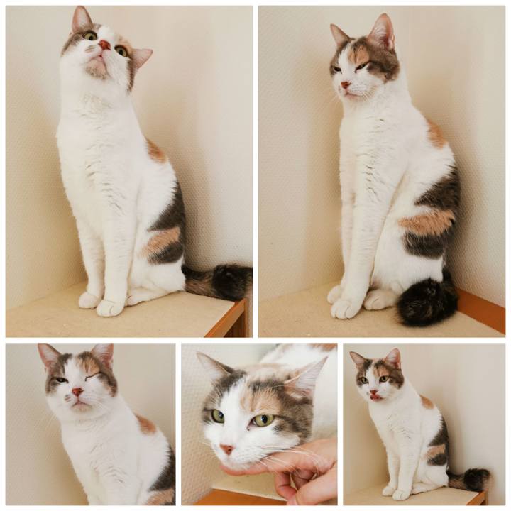 08db9f2a ee80 4461 94b1 88315b6ded35 1646019708383