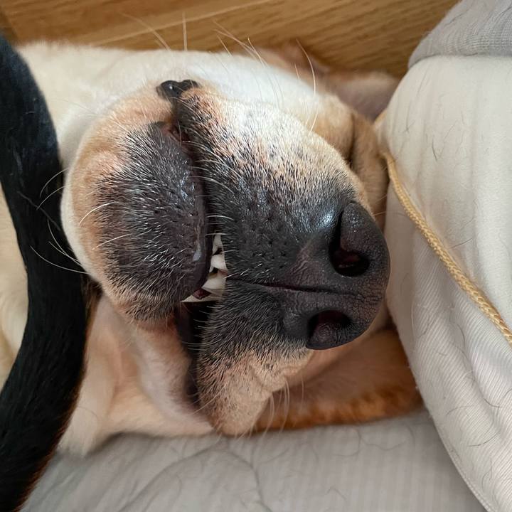 08dbfc1c 3f6b 4fdd bae7 072279a848e8 1657954070318