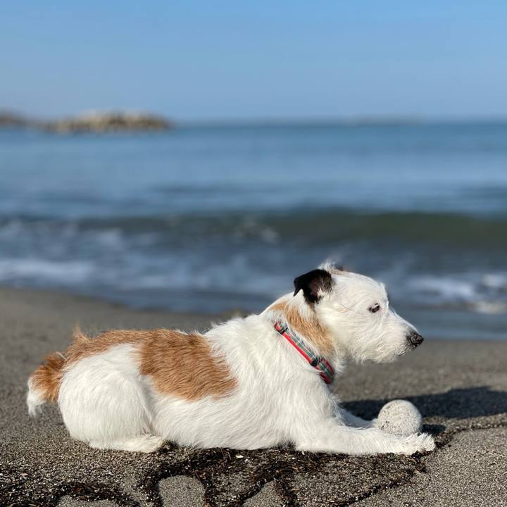 08dc1b6a 0844 41ec a413 a8ee2feb87a5 1619131746082