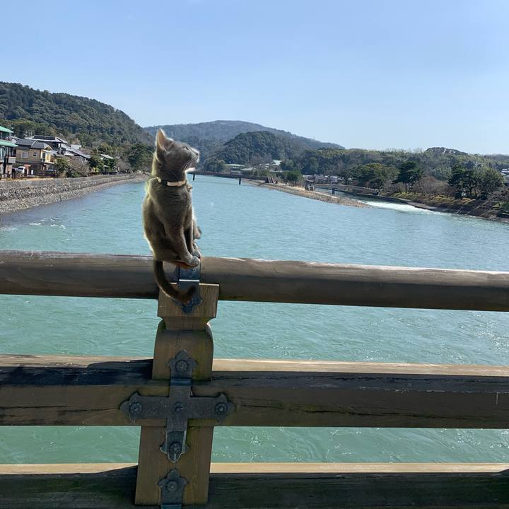 08dc2077 c9f6 4f9c bfa6 4afcb6be3b27 1647506058421