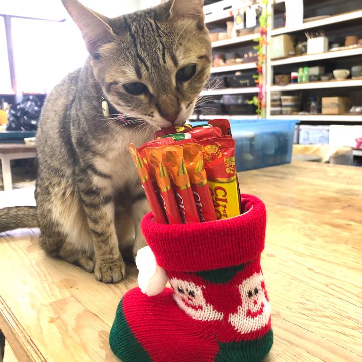 08dc258f 5dae 42b4 80b9 9129fd7a3b72 1608874395432