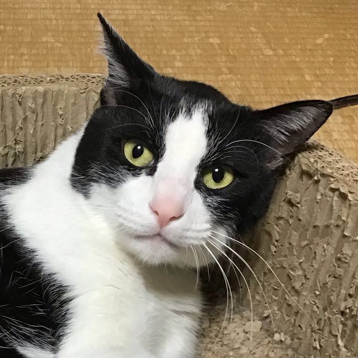 08dc25dc a35c 40a1 aa11 37c98e9c15e6 1743766912435