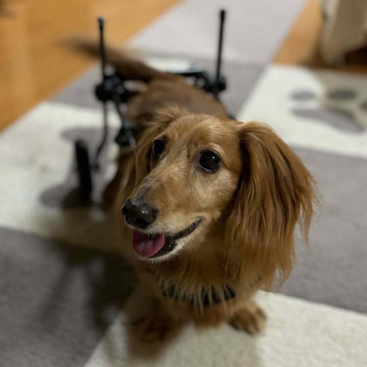 08dc2b39 1a34 489e 8397 f0287990895b 1727955969938