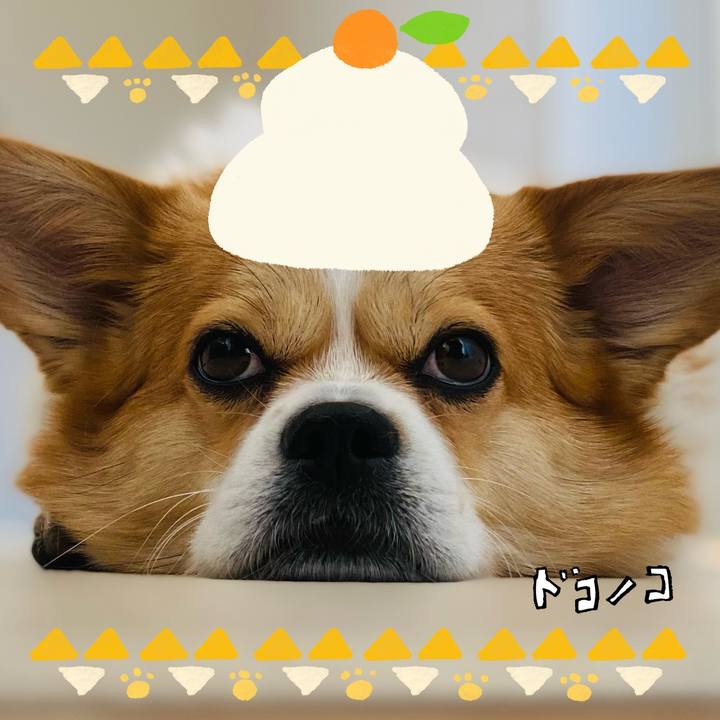 08dc2db8 4b4d 4af5 bb6b 598448c60b30 1704084353477