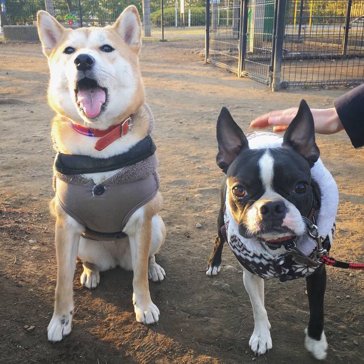 08dca762 7405 4075 8d31 c3c1c94a2f89 1516006679168