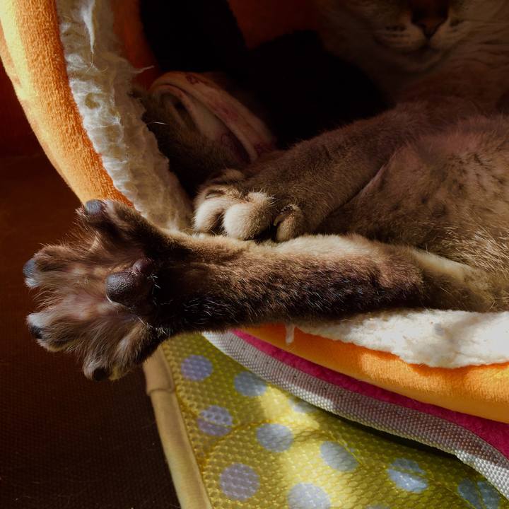 08dcd9da a0b3 4a69 9d1d 389ae8baa0ea 1518840281214