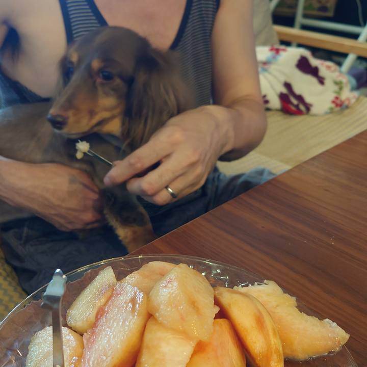 08dcf89a e9bb 4c8b 8875 7023da8922b3 1658551146596