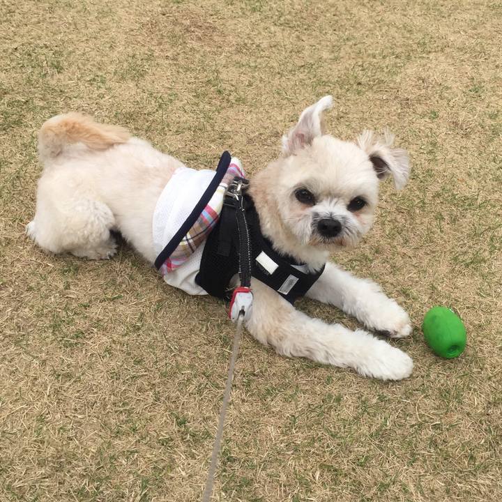 08dcfde4 287b 4b71 b280 a5b2509cbaa0 1523064761528