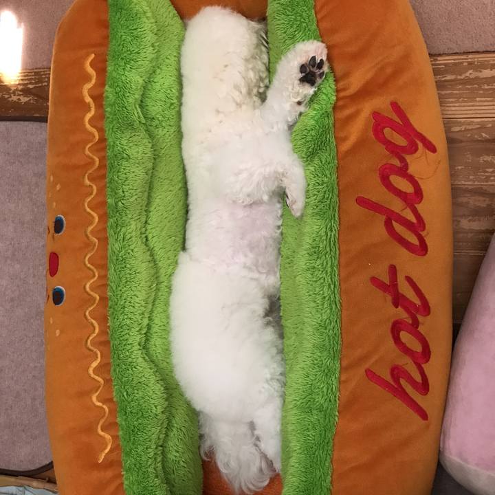 08dcfe79 7069 4cfa ab5b 4199eb347a2a 1564360289425