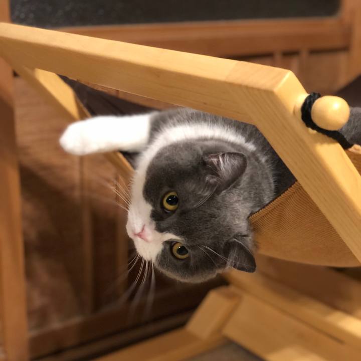 08dd0ae6 dcc4 4a73 913e f7a5444cc288 1586949561185