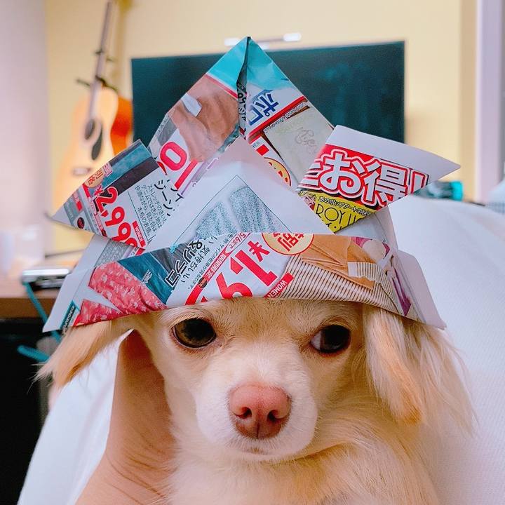 08dd3ae2 87c5 4aae 878f ad7b4327fbd8 1620172963235