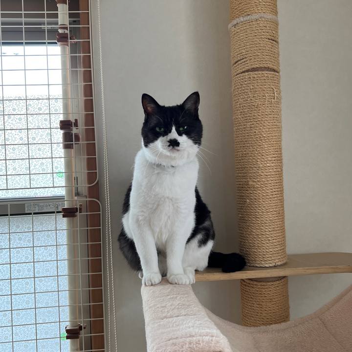 08dd45af 9e1e 4226 8a44 b89d6bf1c1c0 1696293580386