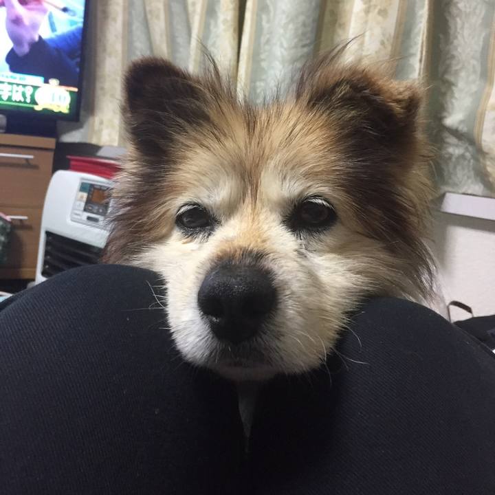 08dd769b b594 40cb b6cb c7fcb65f0741 1561990919214