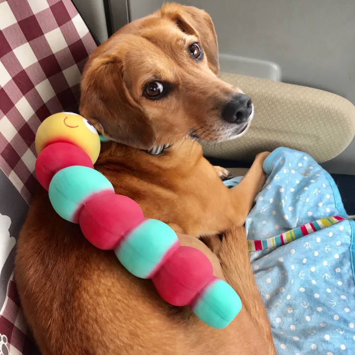 08dd82a7 b5be 447b 8ee8 b4b535e95499 1536652822388