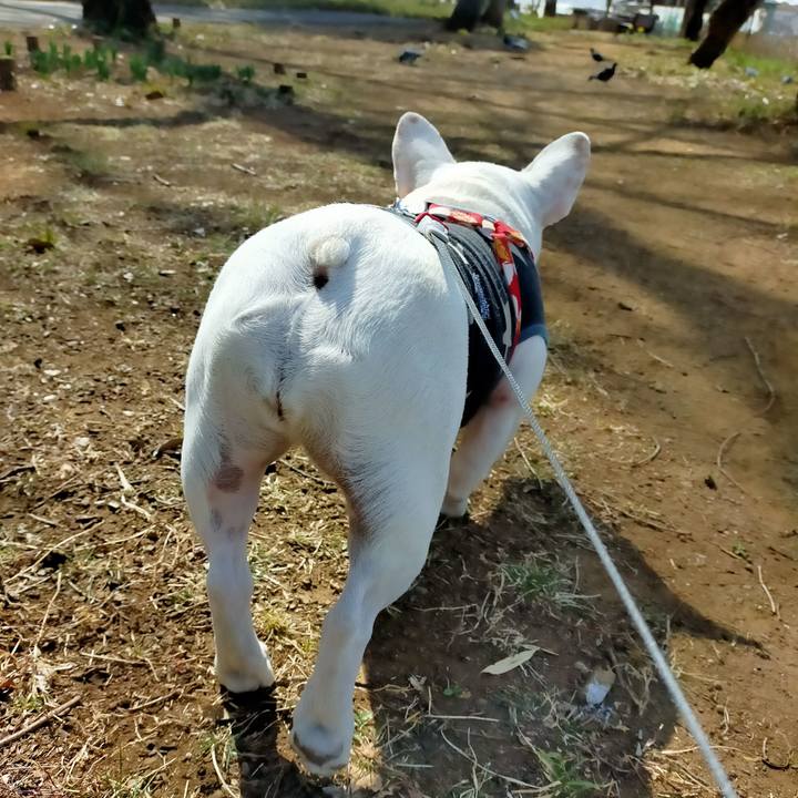 08ddb2f3 1af0 4115 8dd5 dd99fc6b776f 1646963678621