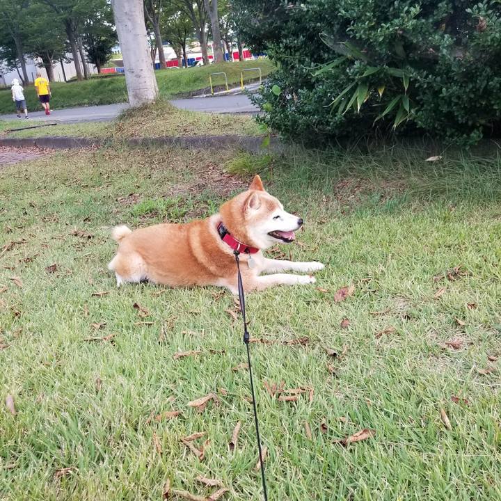 08dddac3 479c 4486 b075 430bb7eab513 1725179590573