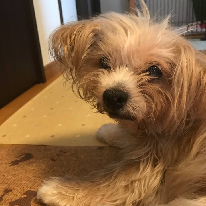 08dddd02 90b8 470f b855 175c6ad3cd48 1536925013413