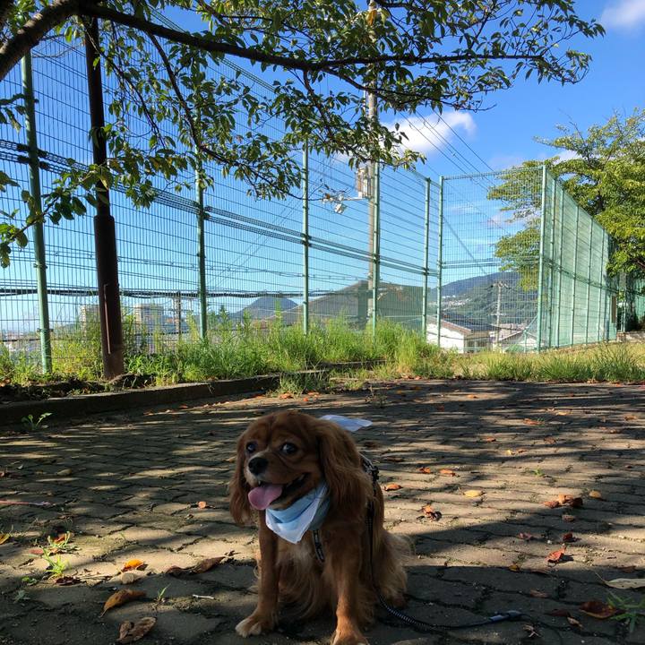 08de0c19 ed5b 4e04 bcd6 784b4df8d4f8 1599867537707