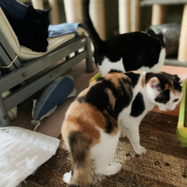 08de0dad 97b3 4c67 b751 ceeb1d20ca6c 1597627339886