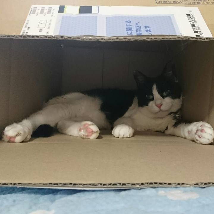 08de5597 0cca 4bd6 b72c 14aef37cd42f 1564661382630