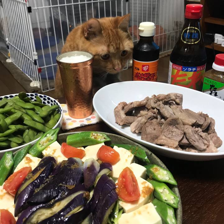 08de6644 8fe0 426a 91bb a9a077dc4707 1533294843162