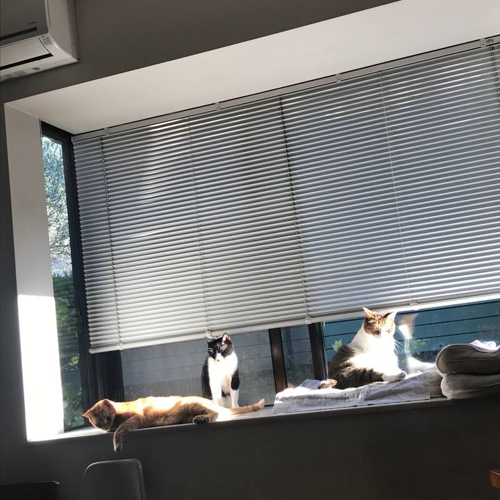 08de897f 4173 4bca 8776 af1f3ef59ac9 1570257663417