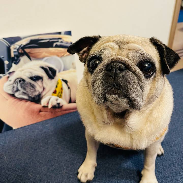 08debf2c c602 4c91 a645 daa2c184fda9 1761293294439