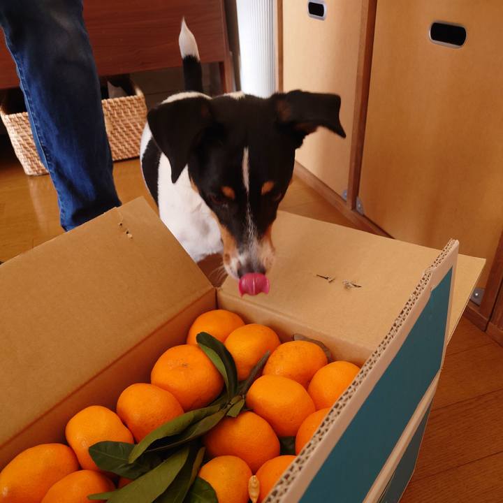 08df08be 6d31 4437 9df6 b088e42cca4d 1703300162263