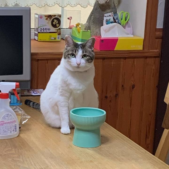 08df0b0d b610 4f52 bcea bc9556700073 1621030002448