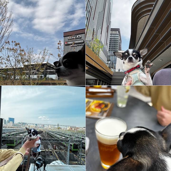 08df37bf 0b9e 440e 9c43 f0bd133a4bc7 1774856282989