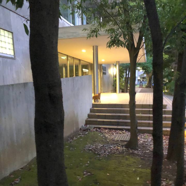 08df5779 fea3 4e39 88fe 121137f9f656 1565957961308