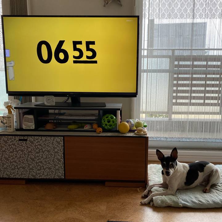 08df6506 fe57 4dc5 bd1c ad60b27c1748 1596146504128